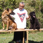 Trainer working with two dogs